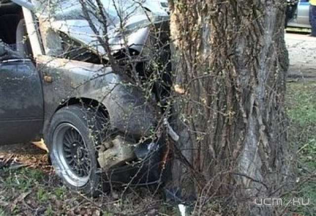 В Орловской области пьяный водитель, с детьми в машине, врезался в дерево В Орловской области пьяный водитель, с детьми в машине, врезался в дерево
