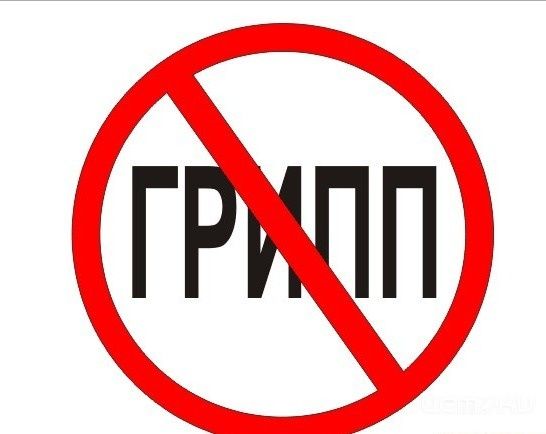 В Орловской области грипп пока не опасен В Орловской области грипп пока не опасен