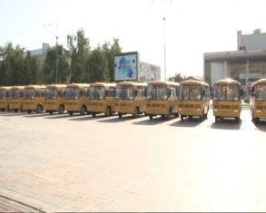 Автобусы и ФАПы: орловская глубинка обзавелась транспортом