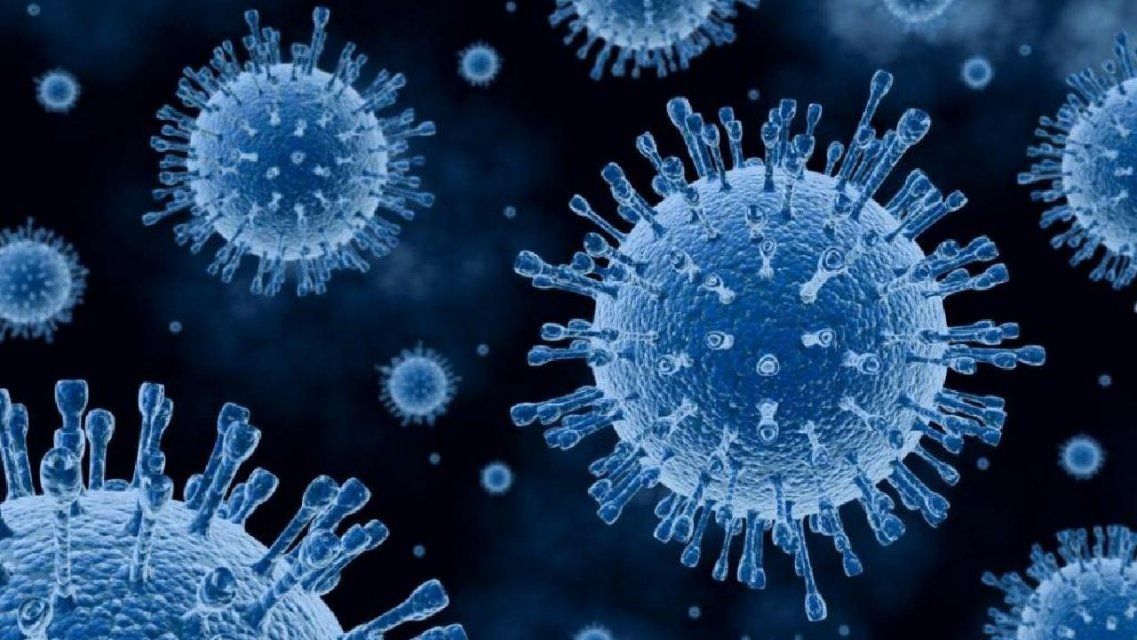 Число зараженных коронавирусом в Орловской области превысило 8500