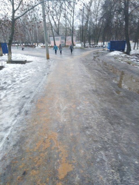 Орловчане жалуются на скользкие дороги к школам