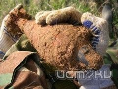 В Дмитровском районе обнаружили почти 100 предметов взрывоопасных военных времен В Дмитровском районе обнаружили почти 100 предметов взрывоопасных военных времен