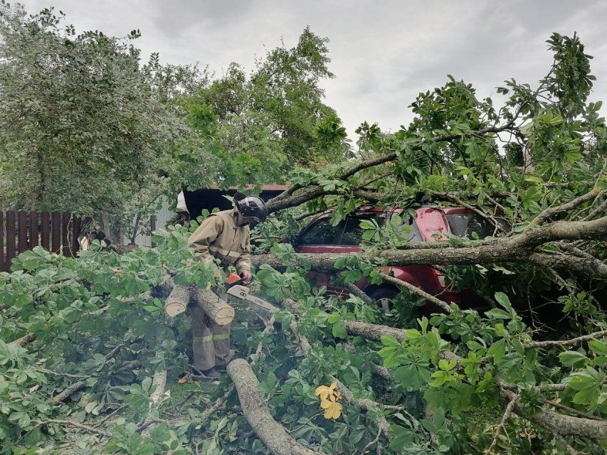 В Орле из-за ветра упали 40 деревьев