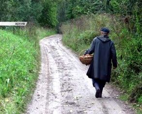Новости за 90 секунд: пропавшего три дня назад грибника нашли, орловчане начали подавать заявки на получение жилья эконом-класса, а наша область сможет пересчитать валютный долг по 
