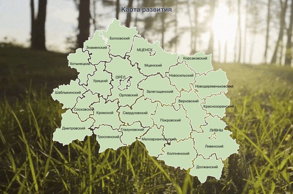 В Орловской области создана интерактивная карта развития региона 