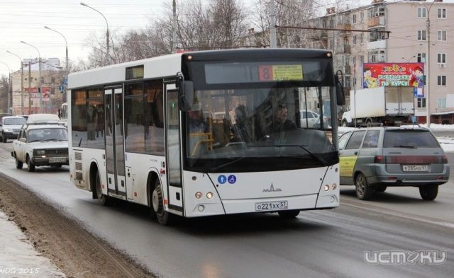В Орле появилось два новых низкопольных автобуса В Орле появилось два новых низкопольных автобуса