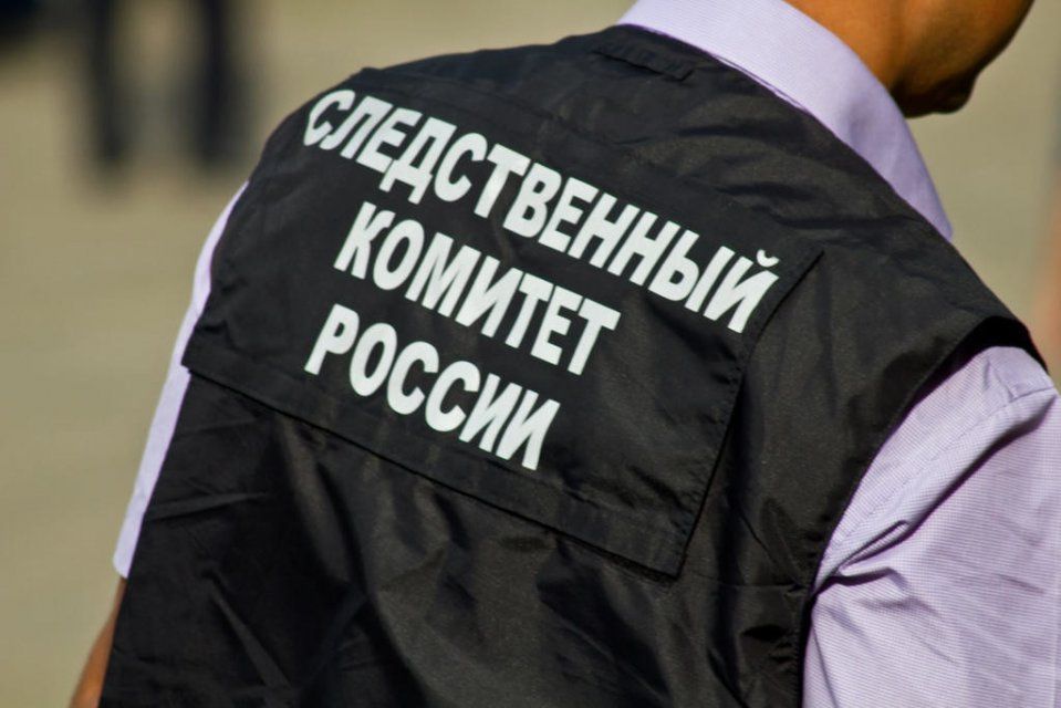 В Орловской области будут судить аферистку