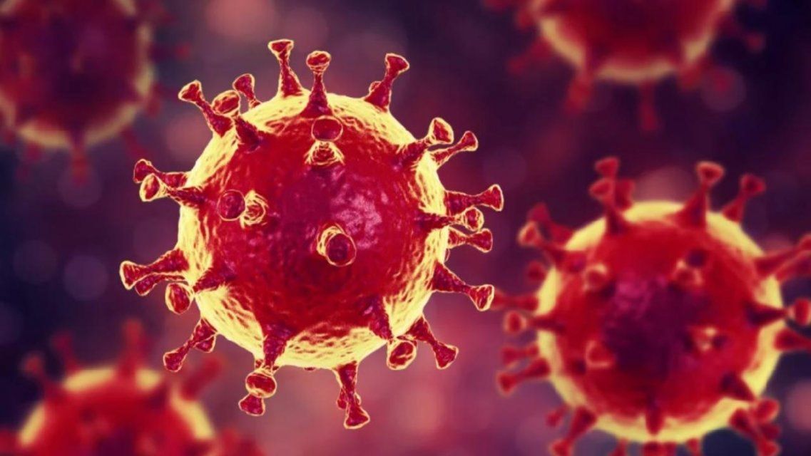 Роспотребнадзор: все участники форума в Орле прошли тест на коронавирус