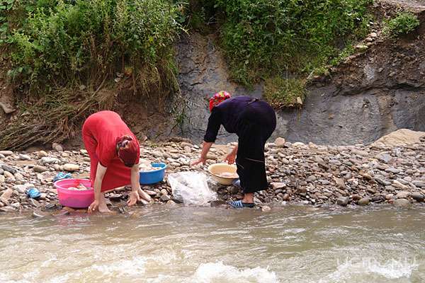 В орловской области вводятся ограничения на купание в водоемах животных и стирку белья В орловской области вводятся ограничения на купание в водоемах животных и стирку белья