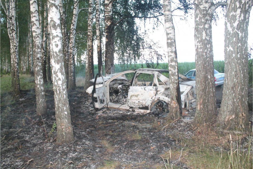 На трассе Орловщины загорелся «Форд» после того, как врезался в березу