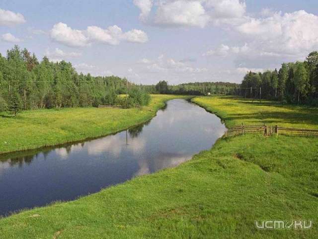 Ромашки, Кремль, жар-птица и медведь с балалайкой: Ростуризм выбирает туристический бренд России Ромашки, Кремль, жар-птица и медведь с балалайкой: Ростуризм выбирает туристический бренд России