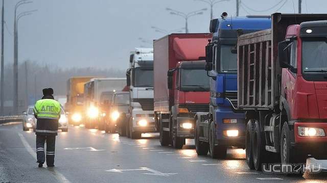 По утрам на трассе в Орловской области начнут будить сонных дальнобойщиков По утрам на трассе в Орловской области начнут будить сонных дальнобойщиков