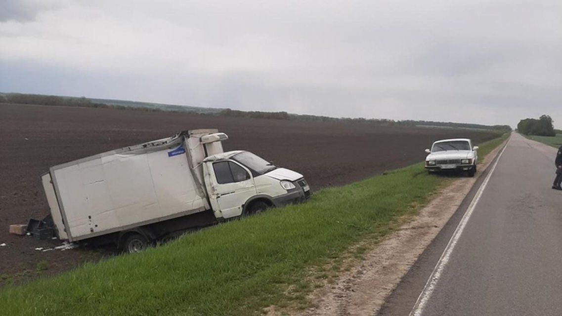 «Газель» в кювете: в ДТП на Орловщине пострадали водитель авто и подросток