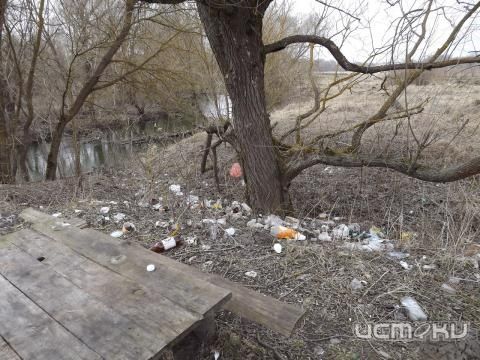 Мусор в Звягинках Мусор в Звягинках