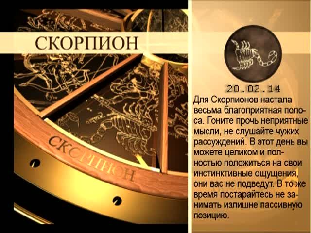 Гороскоп на 20 октября скорпион женщина
