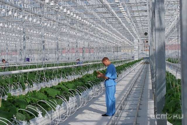 На территории орловского индустриального парка "Зеленая роща" могут появиться белгородские теплицы На территории орловского индустриального парка "Зеленая роща" могут появиться белгородские теплицы