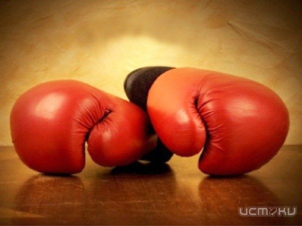 В Орле пройдет междугородний турнир по боксу памяти тренера Н.А. Плахова В Орле пройдет междугородний турнир по боксу памяти тренера Н.А. Плахова