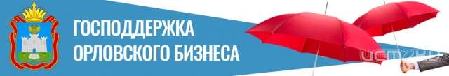В Орловской области запустили портал господдержки бизнеса В Орловской области запустили портал господдержки бизнеса