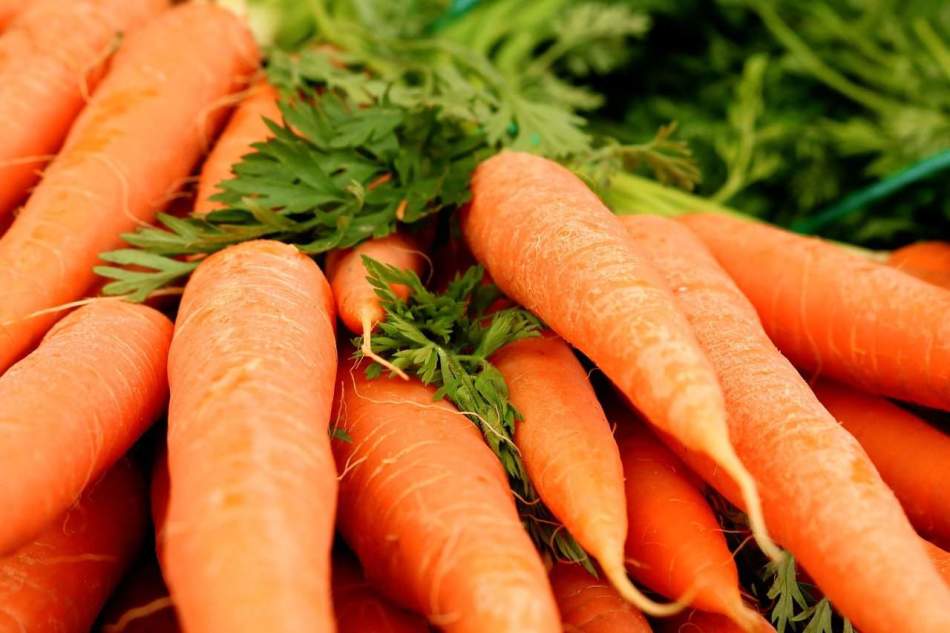Орловщина отправила в Польшу более 80 тонн моркови