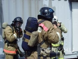 Сотрудникам МЧС пришлось спасать собаку, мусор и сухую траву Сотрудникам МЧС пришлось спасать собаку, мусор и сухую траву