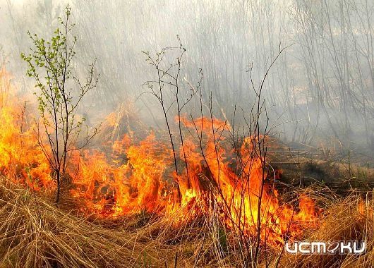 Пожароопасный период все ближе Пожароопасный период все ближе