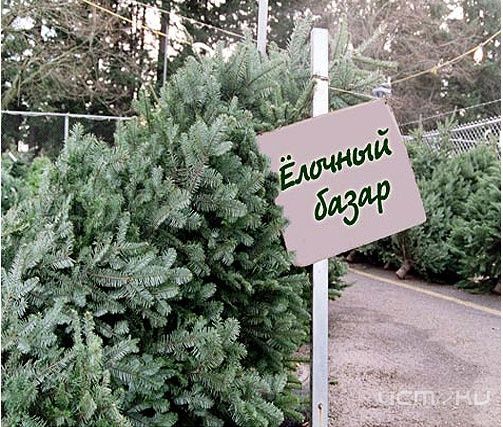В мэрии напомнили, что скоро новый год! В мэрии напомнили, что скоро новый год!