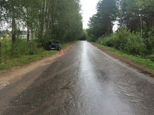 В Орловской области водитель автомобиля «ВАЗ» врезался в дерево