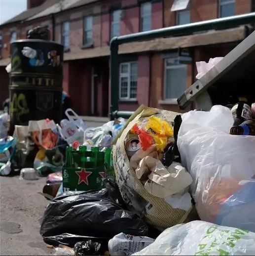 За год количество мусора в Орловской области уменьшилось на 5,5%