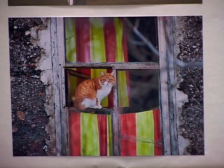 Борис Яхович и его команда Борис Яхович и его команда