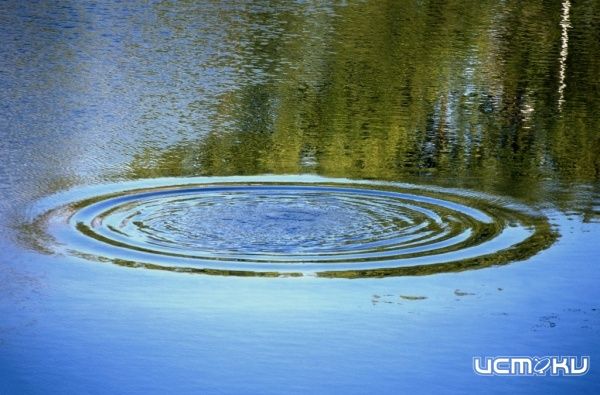 Вода унесла жизнь еще одного человека Вода унесла жизнь еще одного человека