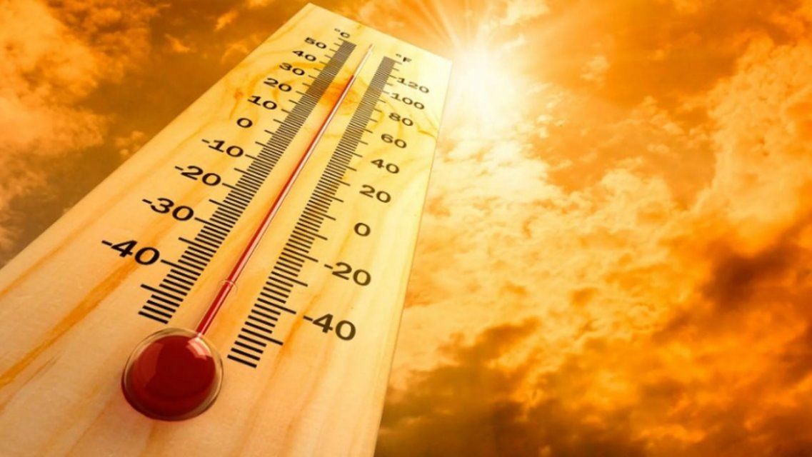 Лето-2020 в Орловской области может стать самым жарким за всю историю 