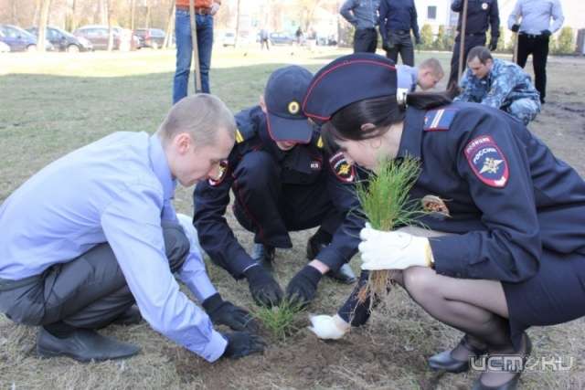 В рамках проекта «Лес Победы» орловские полицейские высадили в двух районах региона липы, яблони и ели В рамках проекта «Лес Победы» орловские полицейские высадили в двух районах региона липы, яблони и ели