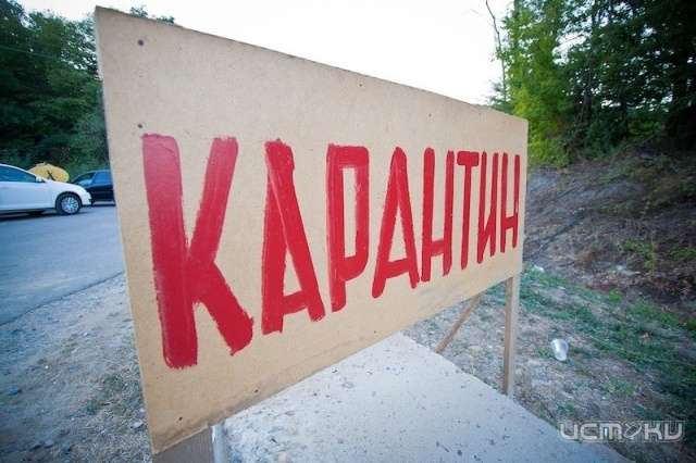 Вспышка бешенства животных на территории 909 -го квартала Вспышка бешенства животных на территории 909 -го квартала