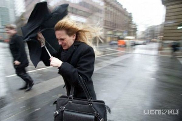 Орловскую область, возможно, накроет Балканский циклон Орловскую область, возможно, накроет Балканский циклон
