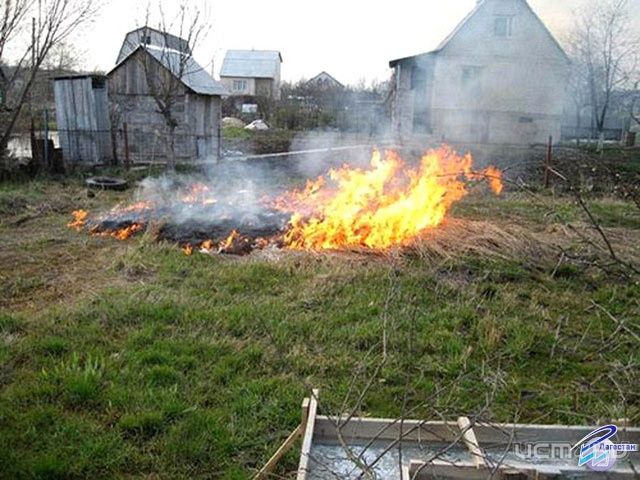 Губернатор области поручил лучше контролировать сжигание сухой растительности Губернатор области поручил лучше контролировать сжигание сухой растительности