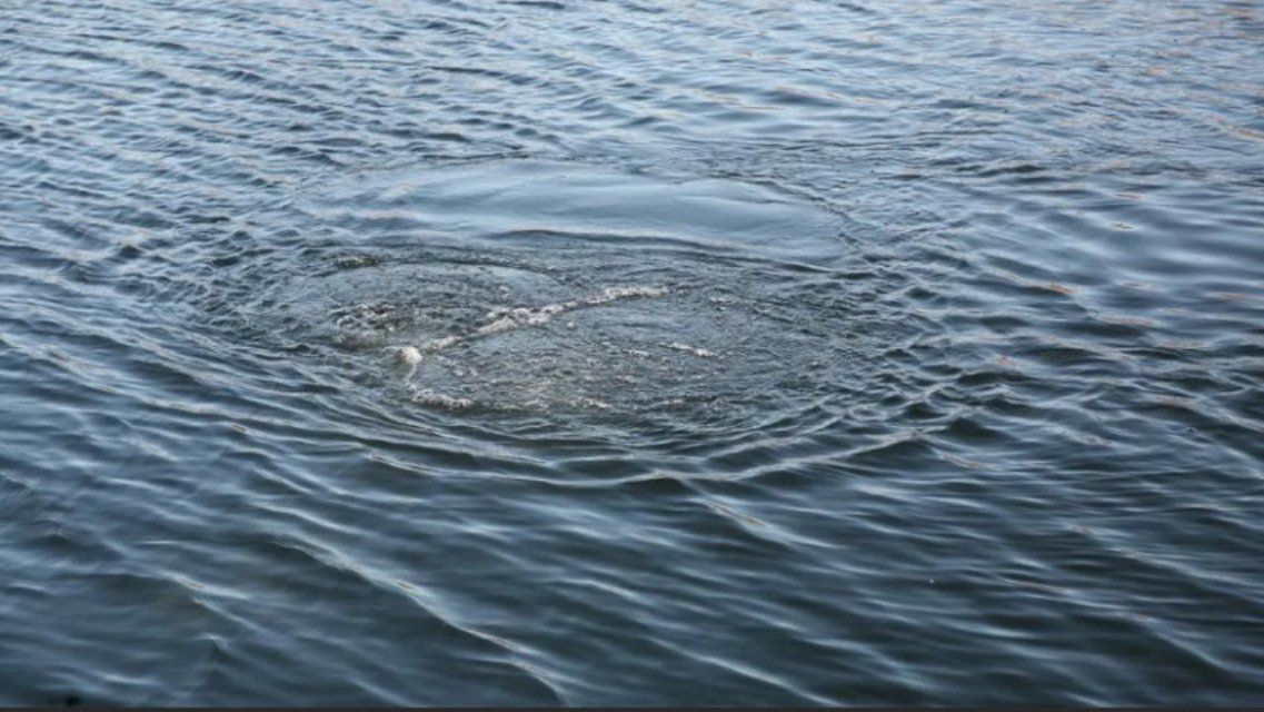 49-летний мужчина утонул во время купания в Орлике