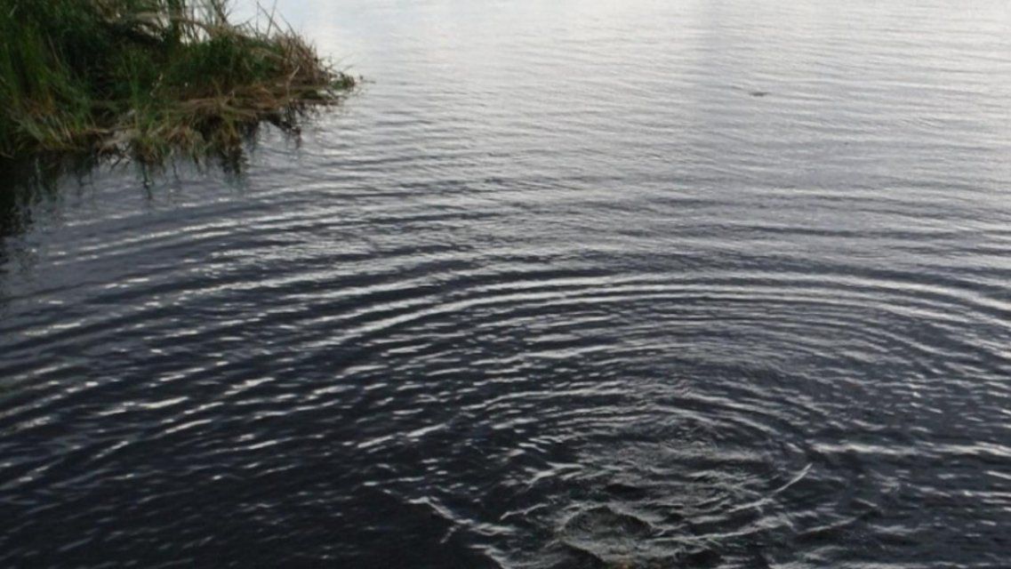На Орловщине девятилетний мальчик упал в ручей и утонул
