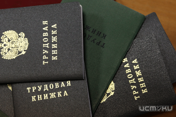 На Орловщине появится справочник востребованных профессий На Орловщине появится справочник востребованных профессий