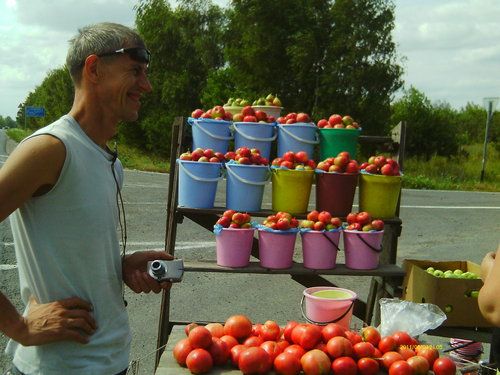 Незаконным продавцам у дорог грозят наказания. Незаконным продавцам у дорог грозят наказания.