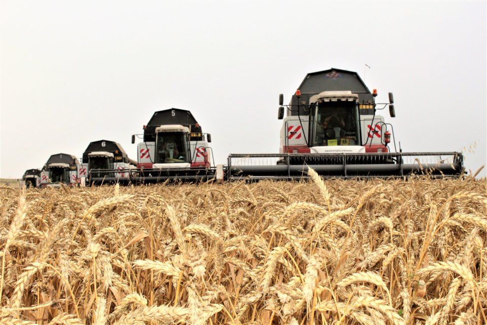 Орловские аграрии намолотили первый миллион тонн зерна нового урожая