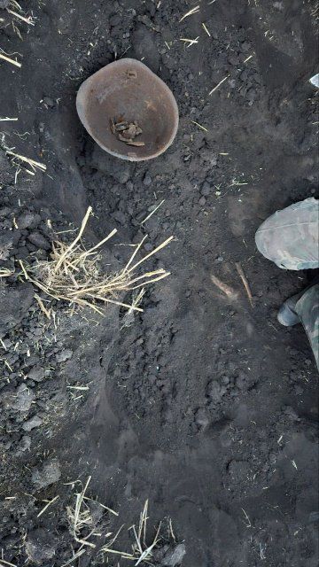 В Орловской области нашли останки двух красноармейцев