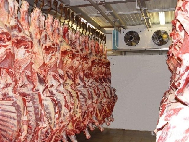 Нарушения, выявленные при проверке убойного цеха в Новосиле Нарушения, выявленные при проверке убойного цеха в Новосиле