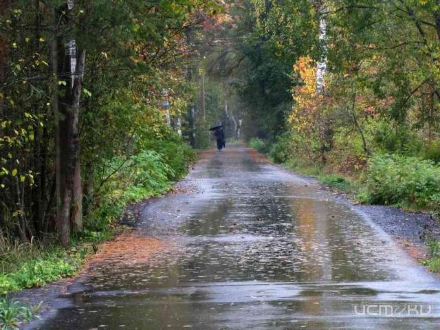 Воскресенье будет дождливым Воскресенье будет дождливым