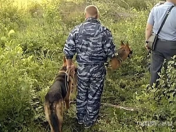 В Орловской области жестоко убили сына известного в определенных кругах авторитета В Орловской области жестоко убили сына известного в определенных кругах авторитета