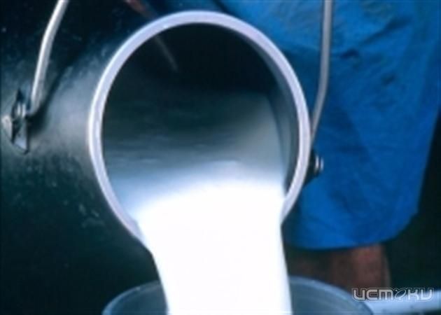 На Орловщине создаются кооперативы по производству молока На Орловщине создаются кооперативы по производству молока
