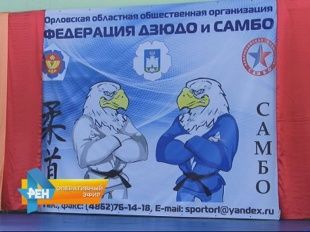 В Орле прошел турнир по дзюдо посвященный памяти Бориса Павленко 