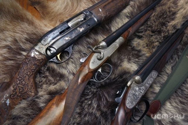 Жителя Покровского района осудили за кражу оружия Жителя Покровского района осудили за кражу оружия