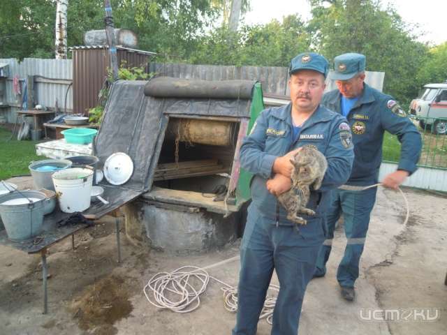 В Должанском районе сотрудники МЧС спасли кошку из колодца В Должанском районе сотрудники МЧС спасли кошку из колодца