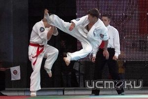 Наши каратисты снова с медалями Наши каратисты снова с медалями
