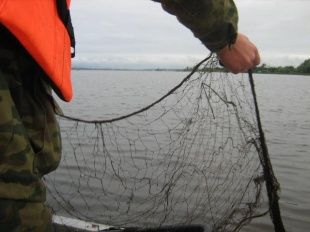 Жителя Калужской области осудили за незаконную ловлю рыбы в «Орловском полесье»